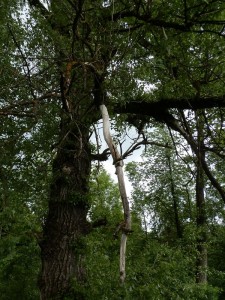 beskid wyspowy 81 (1)